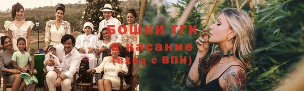 прущие грибы Вяземский